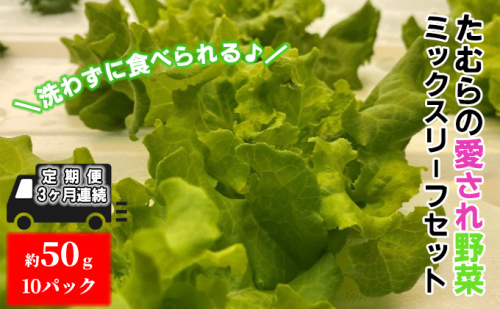 【定期便 3ヶ月連続】洗わずに食べられる!たむらの愛され野菜 ミックスリーフセット 10個 602065 - 群馬県東吾妻町