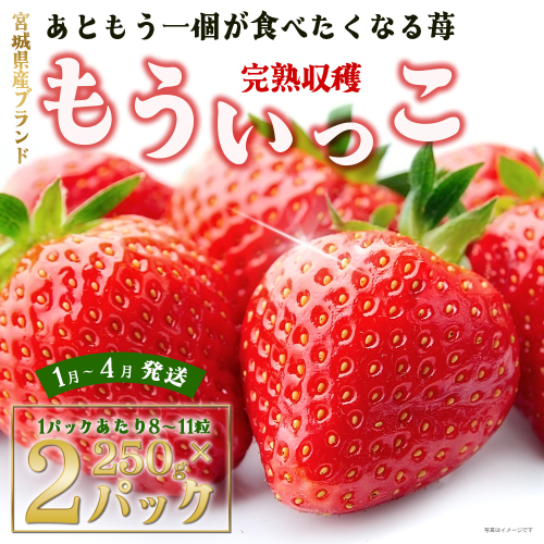 【完熟収穫】いちご もういっこ 250g×2パック 【04324-0204】 605028 - 宮城県川崎町