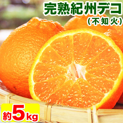 【先行予約】果肉プリプリ♪ 完熟紀州デコ(不知火) 約5kg 株式会社魚鶴商店《2026年2月下旬-3月中旬頃出荷》 和歌山県 日高町 不知火 柑橘 果物 フルーツ 605815 - 和歌山県日高町