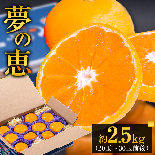夢の恵 みかん 約2.5kg(20玉～30玉前後) 熊本県産 （長洲町産含む） 糖度12度以上 ブランドみかん ブランド 贈答用 贈り物《11月上旬-12月末頃出荷》 熊本県 長洲町 607727 - 熊本県長洲町