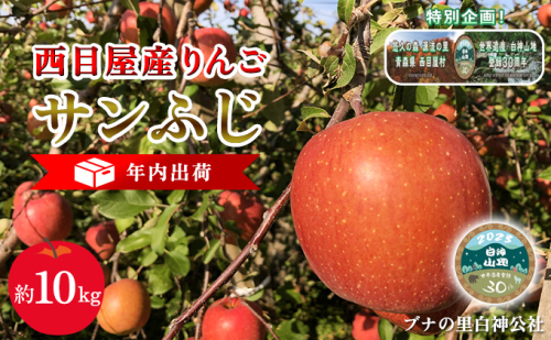 年内出荷:西目屋産りんご サンふじ 約10kg(B-1) 果物類 林檎 リンゴ 青森 609618 - 青森県西目屋村