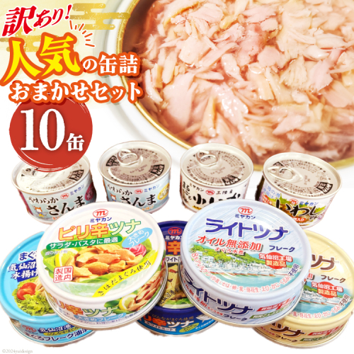 訳あり お任せ 人気 缶詰10缶セット [ミヤカン 宮城県 気仙沼市 20563805] 缶詰 ツナ缶 さば缶 さんま缶 いか缶 いわし缶 長期保存 非常食 備蓄 食べ比べ 鯖缶 防災 キャンプ アウトドア  609642 - 宮城県気仙沼市