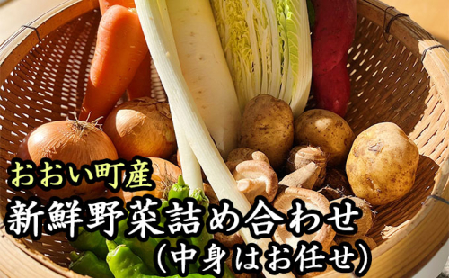 おおい町産新鮮野菜詰め合わせ 野菜セット 特産 609729 - 福井県おおい町