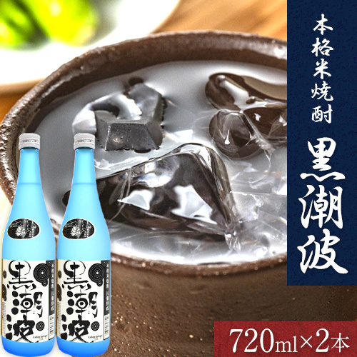 本格米焼酎 黒潮波 （くろしおなみ） 720ml×2本 厳選館《90日以内に出荷予定(土日祝除く)》 和歌山県 日高川町 酒 本格米焼酎 焼酎 米焼酎 614152 - 和歌山県日高川町