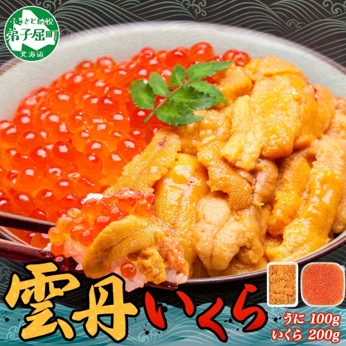 2498.  うに 100g いくら醤油漬け 200g ウニ チリ産 冷凍 いくら 二色丼 雲丹 イクラ 海鮮 海鮮丼 うに丼 いくら丼 いくら醤油漬け 送料無料 北海道 弟子屈町 614963 - 北海道弟子屈町