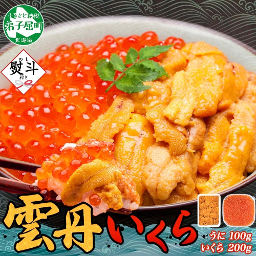 3403.  無地熨斗 うに 100g いくら醤油漬け 200g ウニ チリ産 冷凍 いくら 二色丼 雲丹 イクラ 海鮮 海鮮丼 うに丼 いくら丼 いくら醤油漬け のし 名入れ不可 送料無料 北海道 弟子屈町 614964 - 北海道弟子屈町