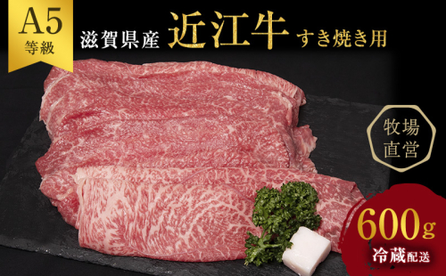 近江牛 すき焼き 約600g A5 雌牛 モモ・カタ・ウデ・バラ系等 西川畜産 牛肉 黒毛和牛 すきやき すき焼き肉 すき焼き用 肉 お肉 牛 和牛 ブランド牛 61622 - 滋賀県豊郷町