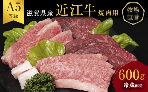 近江牛 焼肉 約600g A5 雌牛 モモ・カタ・ウデ・バラ系等 西川畜産 牛肉 黒毛和牛 焼き肉 焼肉用 肉 お肉 牛 和牛 ブランド牛 61627 - 滋賀県豊郷町