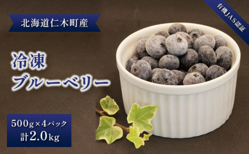 先行受付 【有機JAS認証】北海道仁木町産オーガニック冷凍ブルーベリー 500g×4パック 計2.0kg 果物 フルーツ 冷凍フルーツ 有機栽培 樹上完熟 手摘み トッピング  [株式会社 自然農園] 619264 - 北海道仁木町