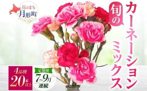 ＜2025年7月～9月まで3ヵ月連続お届け＞北海道 カーネーション ミックス 4品種 20本以上 花 花束 切花 ブーケ 旬 季節 生花 フラワー アレンジメント  620410 - 北海道月形町