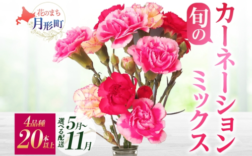 ＜選べる配送月＞ 北海道 カーネーション ミックス 4品種 20本以上 花 花束 切花 ブーケ 旬 季節 詰め合わせ 生花 フラワー アレンジメント 産地直送  620411 - 北海道月形町