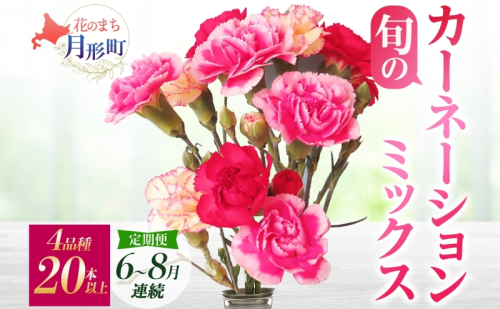 ＜2025年6月～8月まで3ヵ月連続お届け＞北海道 カーネーション ミックス 4品種 20本以上 花 花束 切花 ブーケ 旬 季節 生花 フラワー アレンジメント  620413 - 北海道月形町