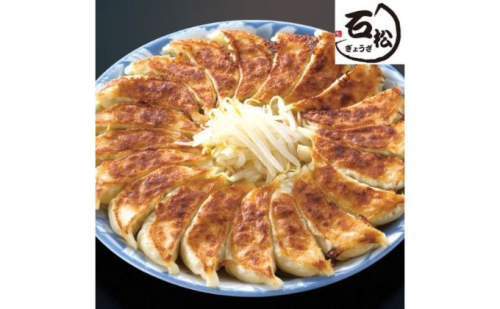 元祖 浜松餃子 石松の浜松餃子 食べ比べセット 石松餃子 40個 肉餃子 18個 セット 詰め合わせ ぎょうざ 餃子 ギョーザ 冷凍餃子 冷凍ぎょうざ 冷凍 冷凍食品 中華 惣菜 食品 おかず 食べ比べ 静岡 静岡県 浜松市 【配送不可：離島】 625811 - 静岡県浜松市