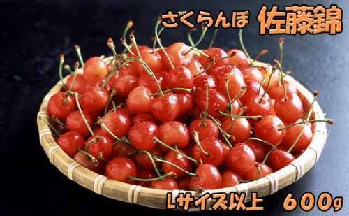 北海道 仁木町産 生産者厳選品 さくらんぼ 佐藤錦 600g（300g×2パック）Lサイズ以上 旬の果物 産地直送 サクランボ チェリー フルーツ 果物 果物類 ギフト 仁木町 仁木 [JA新おたる] 625893 - 北海道仁木町