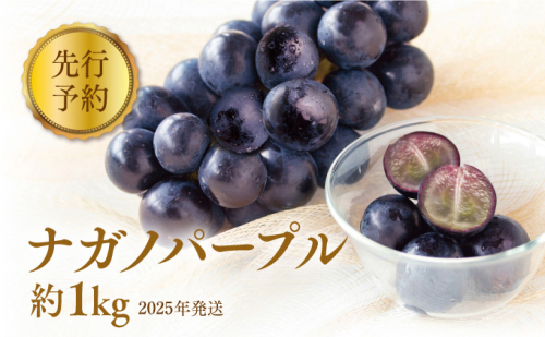 ぶどう 先行予約 長野市産 ナガノパープル 約1kg 果物 ブドウ 葡萄 フルーツ デザート おやつ 種なし 信州 オンライン決済限定 2025年秋発送 626043 - 長野県長野市