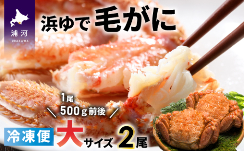 ＜冷凍＞漁協の浜ゆで毛がに 大サイズ2尾セット [02-778] 626304 - 北海道浦河町