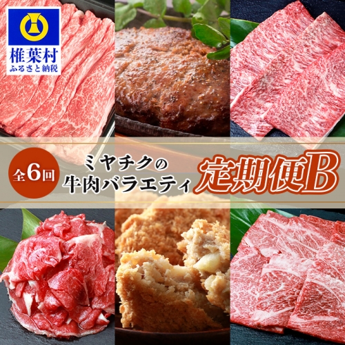 【定期便 6回】ミヤチクの牛肉バラエティ定期便B【6回配送】【宮崎牛・宮崎県産黒毛和牛】 [MT-77] 626307 - 宮崎県椎葉村