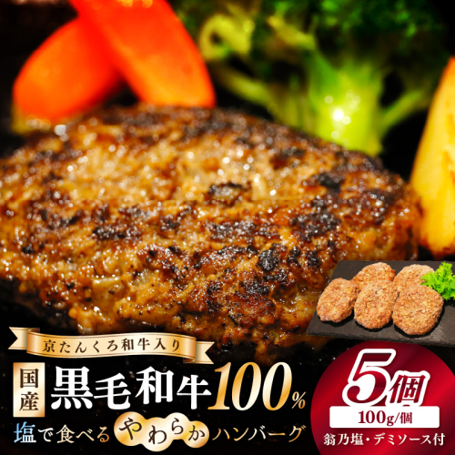 塩で食べるやわらかハンバーグ（デミグラスソース付）
 627358 - 京都府京丹後市