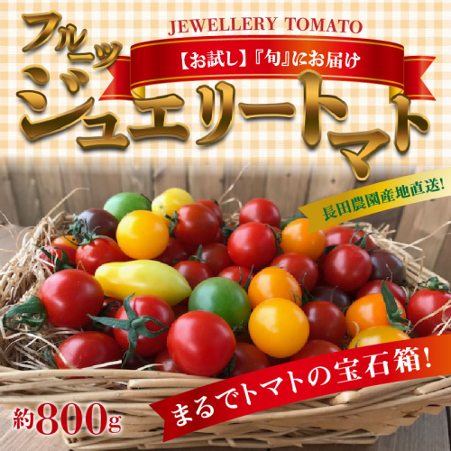 【2026年度予約分】【お試し】まるでトマトの宝石箱！フルーツジュエリートマト 約800g 長田農園 産地直送 トマト とまと 野菜 やさい フルーツ サラダ 濃厚 甘い ご褒美 プレゼント 美容 健康 リピート多数 人気 高評価 先行受付 数量限定 碧南市 H004-115 629856 - 愛知県碧南市