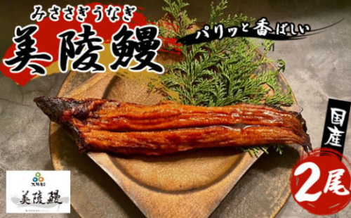 No.211 大阪府藤井寺市産　美陵鰻 ／ うなぎ ウナギ 蒲焼 かば焼き 大阪府 特産品