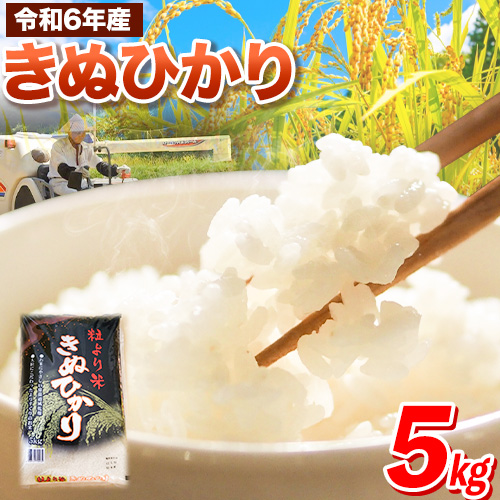 令和6年産 粒より米 きぬひかり 5kg  JAわかやま さわやか日高《90日以内に出荷予定(土日祝除く)》 和歌山県 日高町 米 こめ コメ きぬひかり キヌヒカリ 送料無料 精米 630423 - 和歌山県日高町
