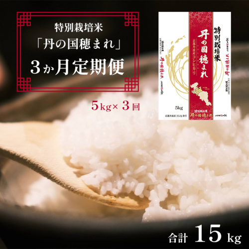 【定期便】令和7年度産 新米 特別栽培米 コシヒカリ 丹の国穂まれ 精米 5kg×3回 | 15kg 京都府 中丹 舞鶴 綾部 福知山 こしひかり お米 白米 ご飯 米 主食 白ご飯 農協 JA 631592 - 京都府舞鶴市
