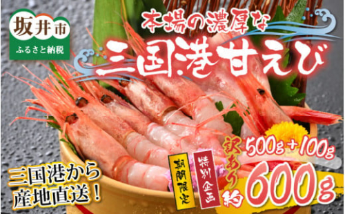 【特別企画】【訳あり】三国港から産地直送！「三国港甘えび」 500g + 100g 合計約600g ～本場の濃厚な甘海老を是非ご賞味ください！～ 【甘エビ あまえび アマエビ わけあり ワケアリ 濃厚 甘い 刺身 生食可 生 冷凍 有頭 新鮮 魚介類 国産 県産】 [A-6233]