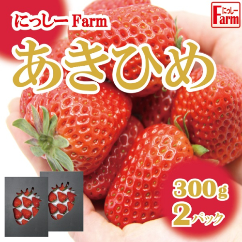 011NF02N.美味しいいちご「にっしーFarmのあきひめ」300g×2P【予約受付2024年12月中旬から順次発送】 635541 - 兵庫県市川町