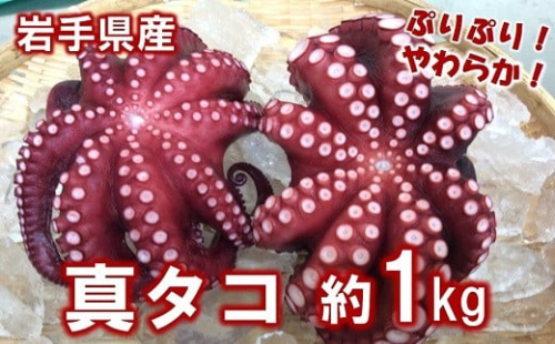 北三陸産 蒸し真タコ丸ごと約1ｋｇ (２匹～５匹)  「プリプリ」「ふっくら」 「やわらか」 チョイス特集掲載『専門家が選んだ 夏の魚貝』 蛸 タコ 刺身 たこ焼き たこの唐揚げ たこめし タコ飯