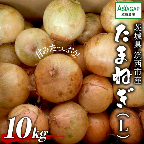 ASIAGAP認証農場 の たまねぎ 10kg ( Lサイズ ) 令和7年産 先行予約 玉ねぎ 玉葱 タマネギ 有機栽培 野菜 ASIAGAP [DD004ci] 638526 - 茨城県筑西市