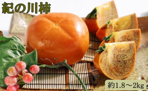 【希少】紀の川柿約1.8～2kg（種無し）秀選品 ※2025年10月中旬～11月中旬頃に順次発送予定 642814 - 和歌山県美浜町