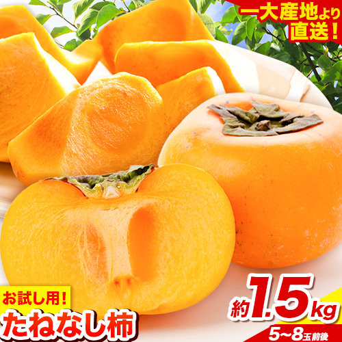  【先行予約】お試し用！ たねなし柿（刀根早生柿・平核無柿）約1.5kg（5～8玉前後）《2025年9月中旬-11月上旬頃出荷》 和歌山県 紀の川市 種なし柿 産地直送 柿 果物 フルーツ 2L～Mサイズ カキ 645723 - 和歌山県紀の川市