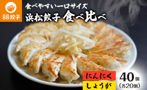 餃子 浜松 88ぱちぱち餃子 40個 (にんにくあり20個 にんにくなし 20個) セット 浜松餃子 詰め合わせ 国産 冷凍餃子 お試し 食べ比べ 惣菜 おかず 点心 中華 ご当地 ご当地グルメ ニンニク不使用 ギョーザ 冷凍 静岡県浜松市 浜松市 配送不可：離島 64637 - 静岡県浜松市
