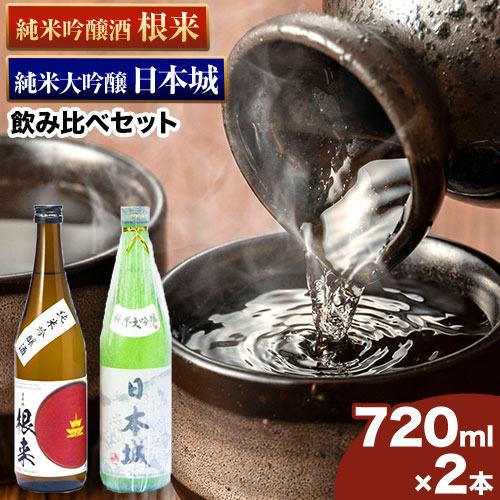 日本城 純米大吟醸酒 純米吟醸酒 根来 飲み比べセット 720ml×2本セット 厳選館《90日以内に出荷予定(土日祝除く)》 和歌山県 日高川町 酒 純米吟醸 飲み比べ 1440ml 純米大吟醸酒 純米吟醸酒 646539 - 和歌山県日高川町