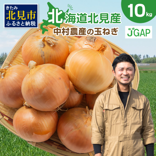 【予約：2025年9月下旬から順次発送】北海道北見産 玉ねぎ 10kg ( 野菜 たまねぎ タマネギ 玉葱 玉ねぎ 甘い Lサイズ 10キロ 玉ねぎ生産量日本一 )【002-0009-2025】 646959 - 北海道北見市