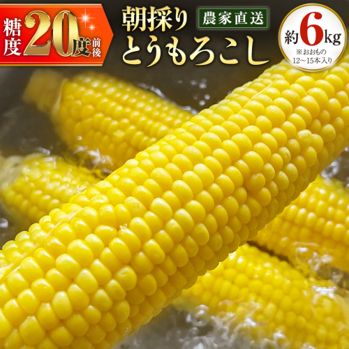 朝採り 農家直送 とうもろこし 6kg 「 おおもの 」【 先行予約 2026年7月中旬以降発送】トウモロコシ スイートコーン コーン 野菜 大粒 大きい 新鮮 甘い 高糖度 サラダ 八千代町産 茨城県産 産地直送 [AX027ya] 647469 - 茨城県八千代町