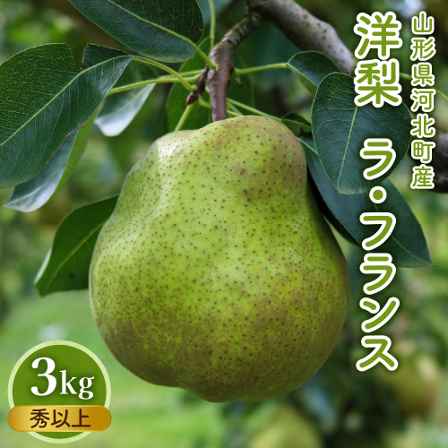 【令和6年産】洋梨「ラ・フランス」 秀以上 3kg【かほくらし社】 649146 - 山形県河北町