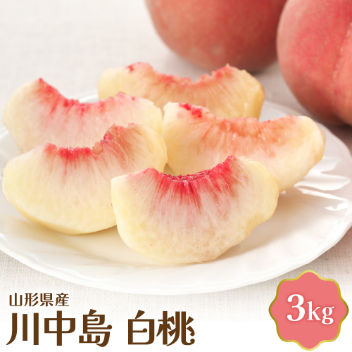 【令和6年産】川中島白桃 3kg 山形県産【JAさがえ西村山】 650114 - 山形県河北町