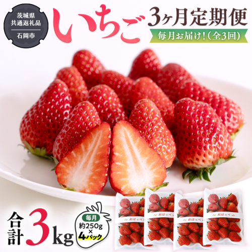 【 定期便 】 合計3kgお届け いちご の3ヶ月連続お届け便 （1回：250g×4パック）×3回 【2026年1月から発送開始】（茨城県共通返礼品：石岡市産） 果物 フルーツ イチゴ 苺 白いちご 白苺 とちおとめ 白いちご 紅ほっぺ やよいひめ 定期便 [BI346-NT] 650770 - 茨城県つくばみらい市