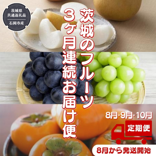 【 定期便 】 茨城のフルーツ 3ヶ月連続お届け便 【2025年8月から発送開始】（県内共通返礼品：石岡市産） フルーツ 果物 定期便 秋 季節 梨 ブドウ ぶどう 柿 茨城 [BI348-NT] 650776 - 茨城県つくばみらい市