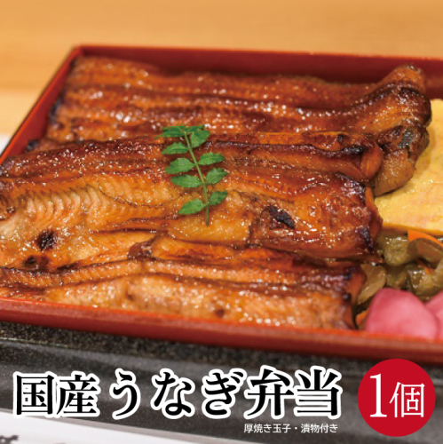 SA1612　国産うなぎ弁当　1人前×1個 651306 - 山形県酒田市