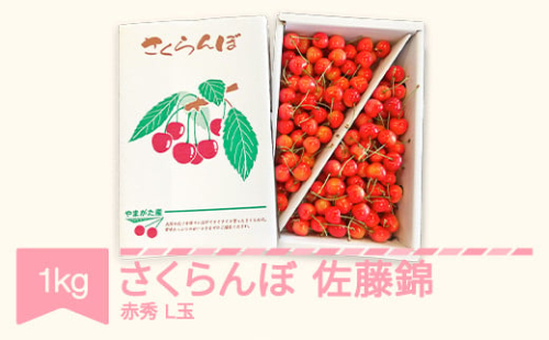 先行予約 さくらんぼ 佐藤錦 赤秀 L玉 1kg バラ詰 ご家庭用 2026年産 令和8年産 山形県産 mm-snalx1000