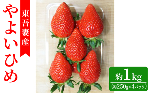 【東吾妻町産】いちご やよいひめ 約250g×4パック 果物 ストロベリー フルーツ デザート 甘味が強い 酸味まろやか 国産 直送 産地直送 食後 おやつ 654930 - 群馬県東吾妻町