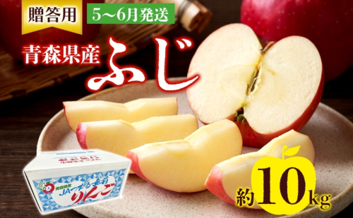 贈答用 ふじ 10kg ふじりんご りんご リンゴ 青森 林檎 果物 フルーツ くだもの お取り寄せ 贈り物 プレゼント 産地直送 有袋栽培 送料無料 青森県 西目屋村 お届け：5月下旬から随時お届け 659268 - 青森県西目屋村