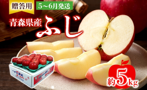 贈答用 ふじ 5kg ふじりんご りんご リンゴ 林檎 果物 フルーツ くだもの お取り寄せ 贈り物 プレゼント 産地直送 有袋栽培 送料無料 青森県 西目屋村 お届け：5月下旬から随時お届け 659269 - 青森県西目屋村