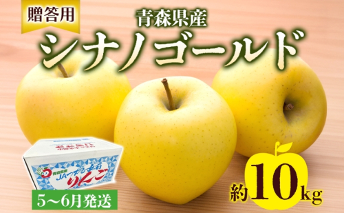 贈答用 シナノゴールド 約10kg りんご リンゴ 青森 林檎 果物 フルーツ くだもの お取り寄せ 贈り物 プレゼント 産地直送 送料無料 青森県 西目屋村 お届け：5月下旬から随時お届け 659271 - 青森県西目屋村