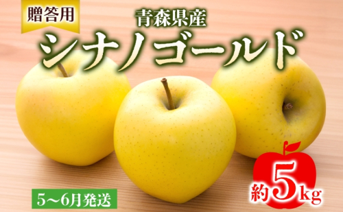 贈答用 シナノゴールド 約5kg りんご リンゴ 青森 林檎 果物 フルーツ くだもの お取り寄せ 贈り物 プレゼント 産地直送 送料無料 青森県 西目屋村 お届け：5月下旬から随時お届け  659272 - 青森県西目屋村