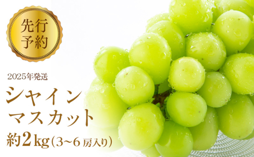 ぶどう 先行予約 シャインマスカット 約2kg 3～6房入り 葡萄 ブドウ フルーツ 果物 シャイン マスカット デザート おやつ 信州 2025年秋発送  659469 - 長野県長野市