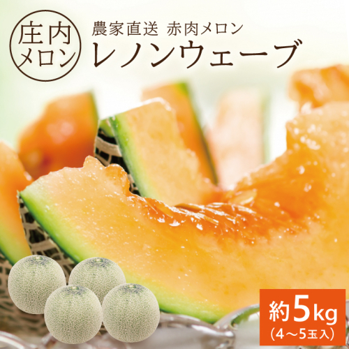 SA2538　庄内メロン/赤肉　レノンウェーブ　約5kg(4～5玉入) 665744 - 山形県酒田市