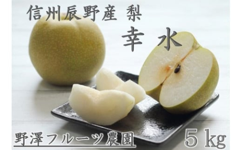 227 先行予約! 梨 幸水 ５㎏ 【野澤フルーツ農園】９月初・中発送　数量限定